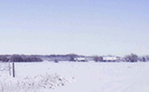 小雪的微信问候语