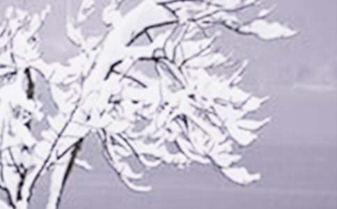 ʮ������Сѩ����İ�