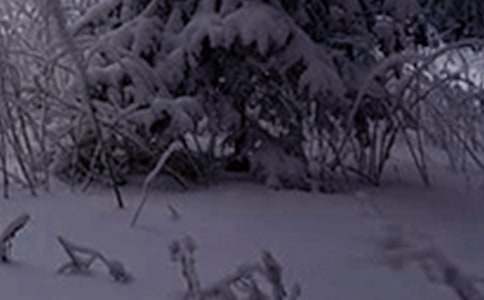 Сѩ��������İ��ϼ�