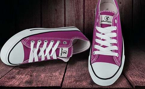 (��)��СЬ�ӡ��ۺ��