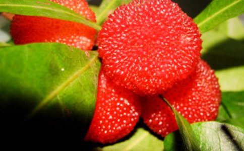 ������÷������