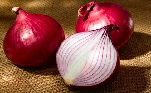 ���ͷ���ռǶ����(����15ƪ)