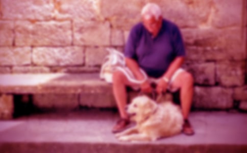 ���ڰ������үү���Ľ���8ƪ