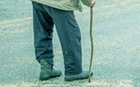 ��үүף�ٵĺش�