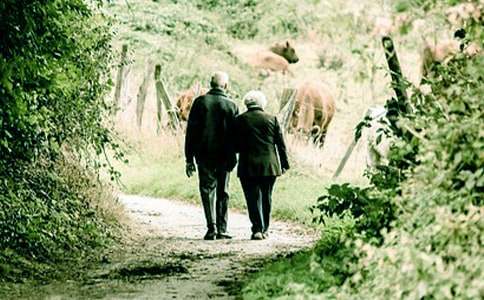 关于爷爷的爱的作文14篇