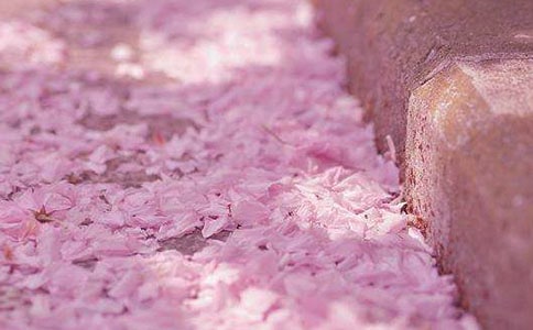 (����)��дӣ���ľ���