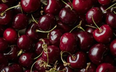 ��дӣ�ҵ�����15ƪ