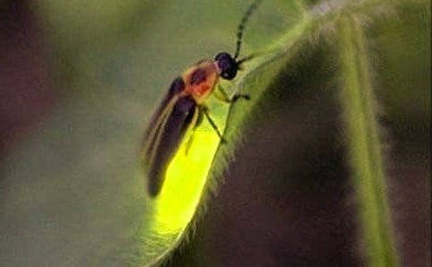 ө���֮Ĺ�ۺ��