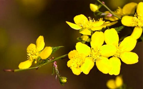 ����ӭ�������꼶������6ƪ