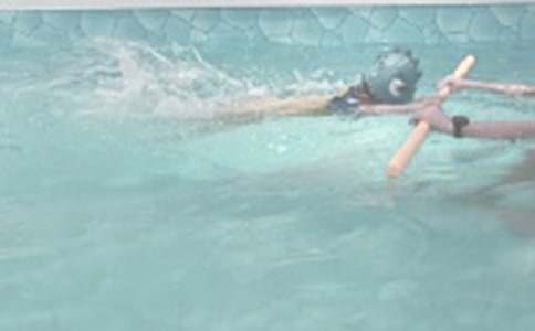 ѧ��Ӿ����[����15ƪ]