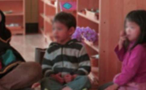 【合集】幼儿园小班工作总结14篇