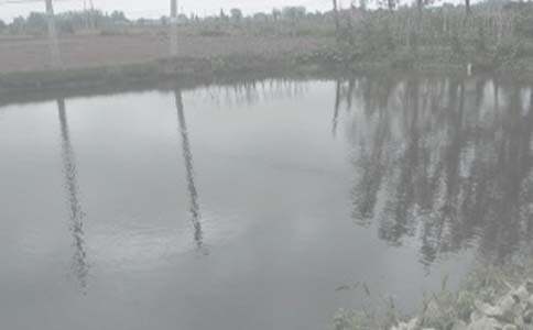 征用鱼塘补偿协议书