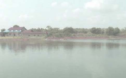 鱼塘承包合同优秀(15篇)