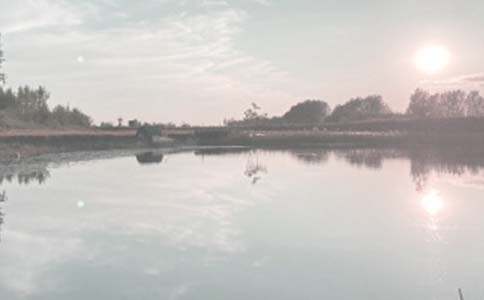 ���������а���ͬ