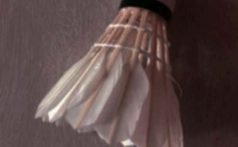 �༶��ë������߻���