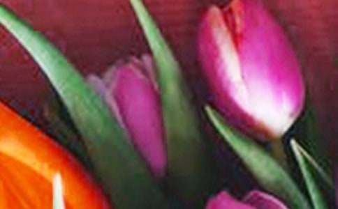 ���������������˵˵