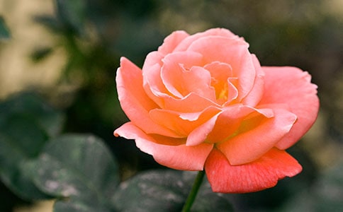 ��д�¼����ľ���