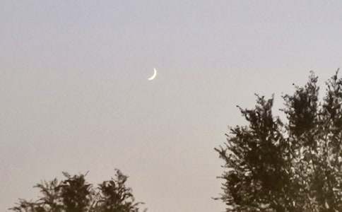 ��������������(18ƪ)