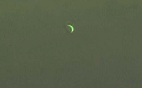 ���ر�����������300����ƪ