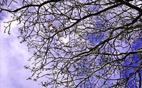 简单的朋友早安问候语语录33条