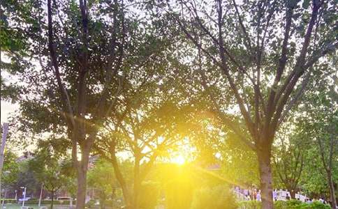 ��ѡ��ů���簲QQ�ʺ���43��