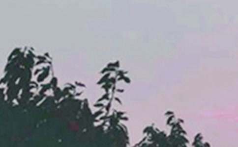 Ψ���簲�ʺ���