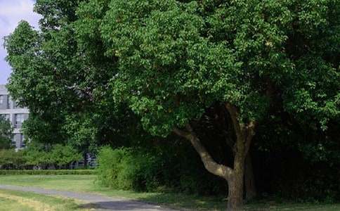 2021���̵����õ��簲ף������¼���31��