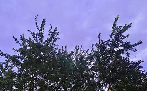 又美又阳光的早安句子