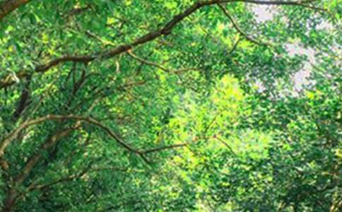 【热门】2026年唯美的早安心语语录23句