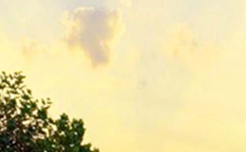 2024年简洁的美好的早安微信祝福语锦集41条