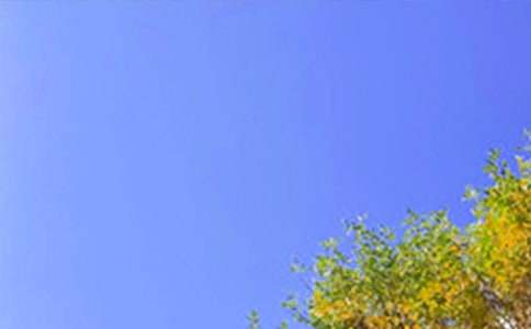 �������õ��簲ף����36��