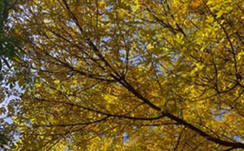 【实用】每日一签早安问候语锦集50句