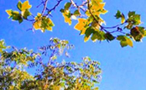 早安共勉句子15篇(精华)