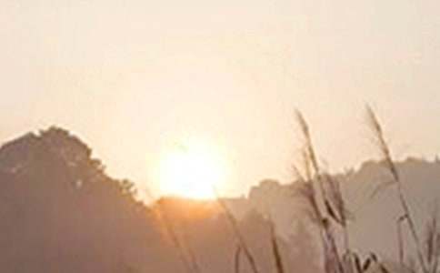 ��������簲�ʺ���