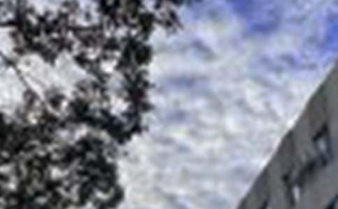 ��̵��������簲QQ�ʺ��Ｏ��33��