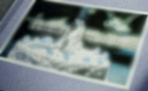 实用的照片作文600字