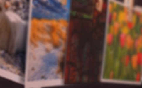 ��������Ƭ����