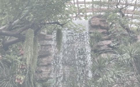 华南植物园作文(热)