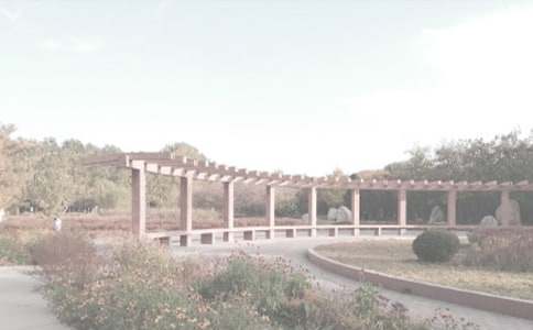 ССֲ��԰����