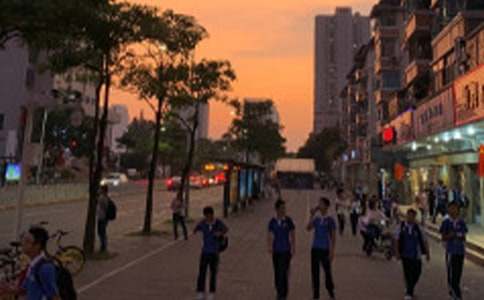 ��ѧ����������