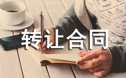 ����ծȨת�ú�ͬ������ƪ