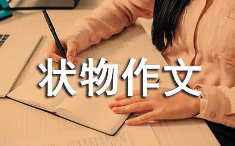 �����������꼶״�����ļ���ʮƪ