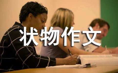 关于五年级状物作文四篇
