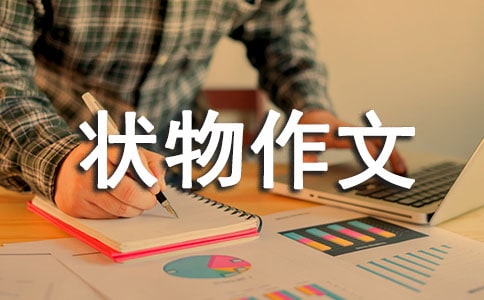 ����״������14ƪ