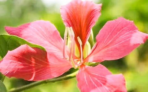 �Ͼ���������������