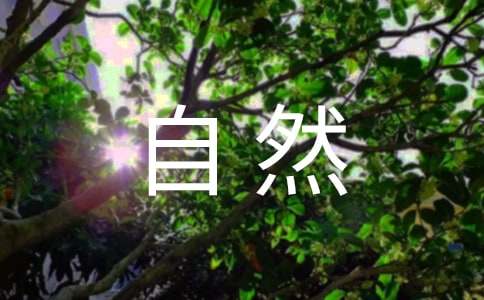 保护大自然的标语 保护大自然的宣传的标语经典