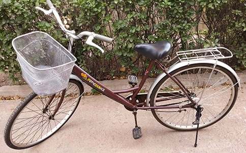 学自行车作文(15篇)