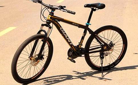 学骑自行车作文(合集)