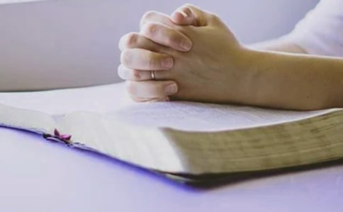 ʦ��ʦ����ȸ����ܽ�11ƪ