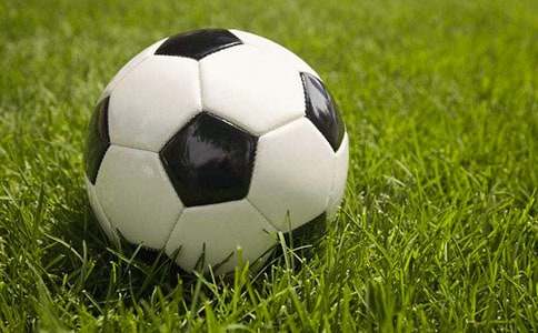 С����������15ƪ(�ر�)